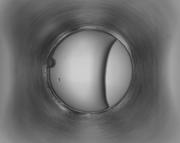 X0000113360906200909151004