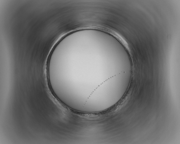 X0000113360907200909151004