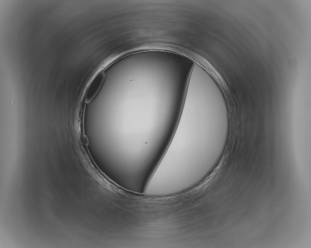 X0000113360908200909151004