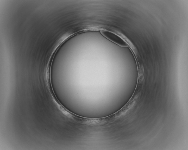 X0000113360909200909151004