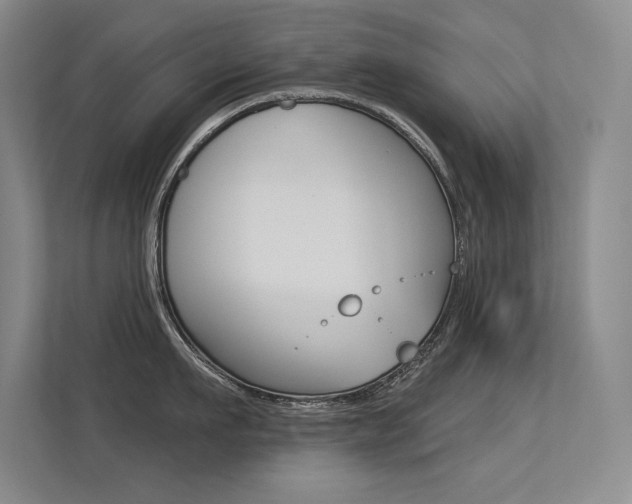 X0000113360911200909151004