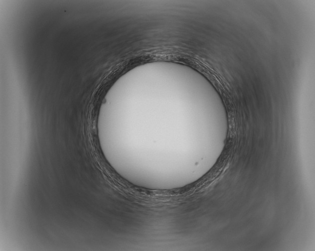 X0000113360913200909151003