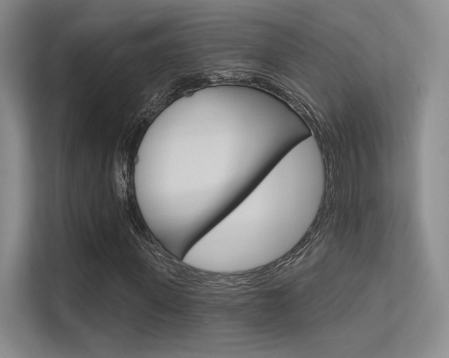 X0000113360915200909151003