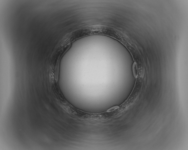 X0000113360916200909151003