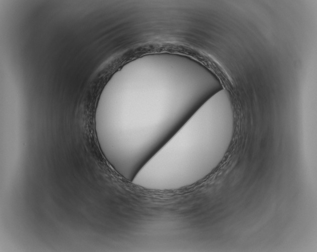 X0000113360919200909151003