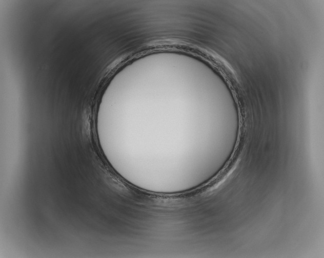 X0000113360921200909151003