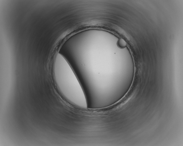 X0000113360922200909151003