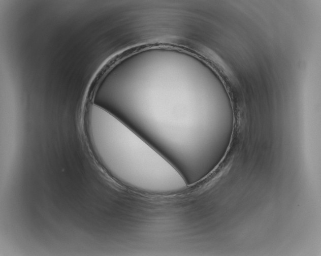 X0000113360924200909151003