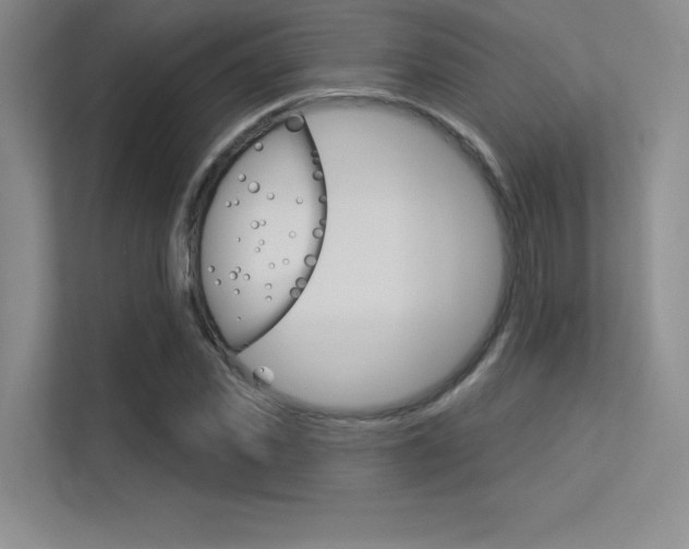 X0000113360925200909151003