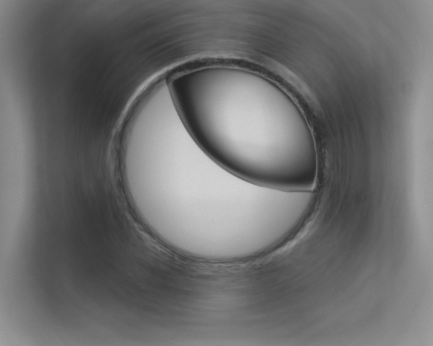 X0000113360926200909151003