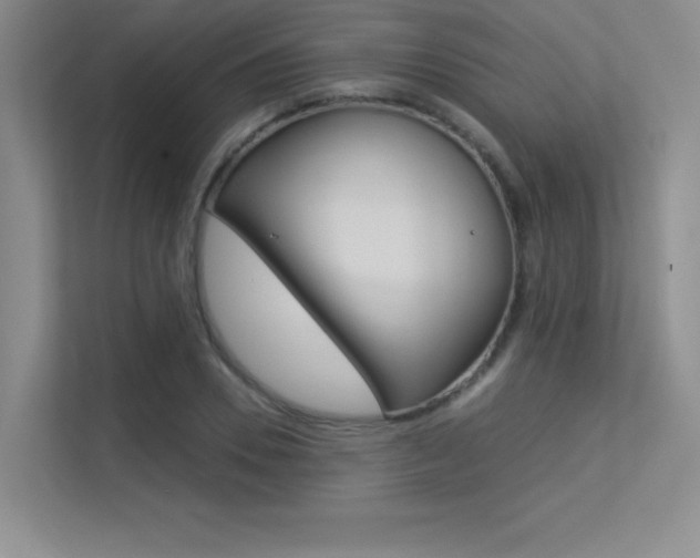 X0000113360930200909151003