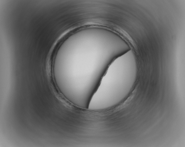 X0000113360931200909151003