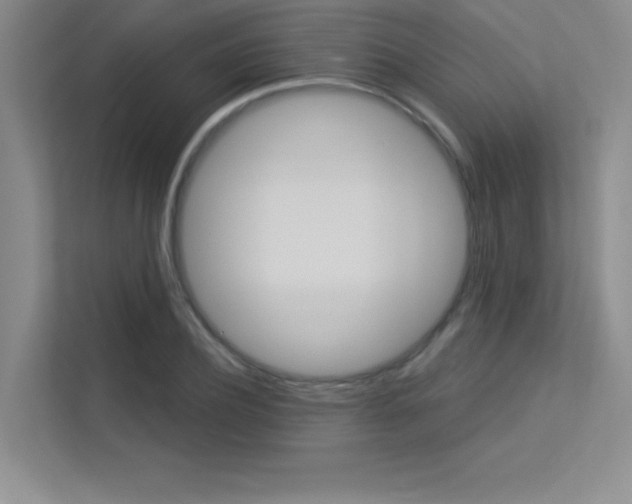 X0000113360932200909151003