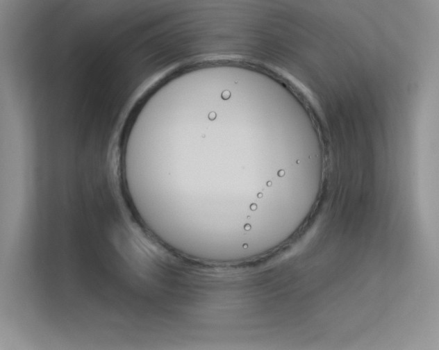 X0000113360933200909151003
