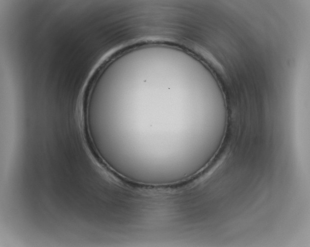 X0000113360934200909151003