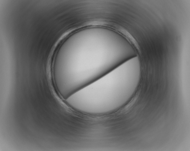 X0000113360939200909151004