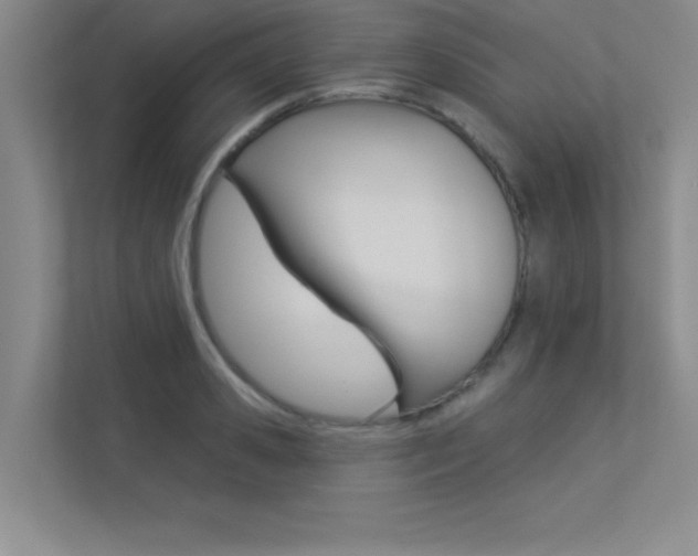 X0000113360941200909151004