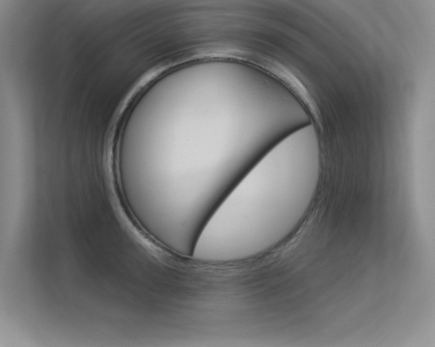 X0000113360947200909151004