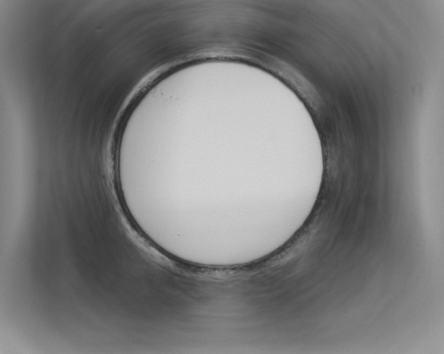 X0000113360950200909151004