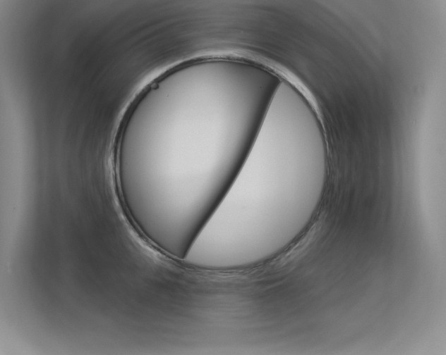 X0000113360951200909151004