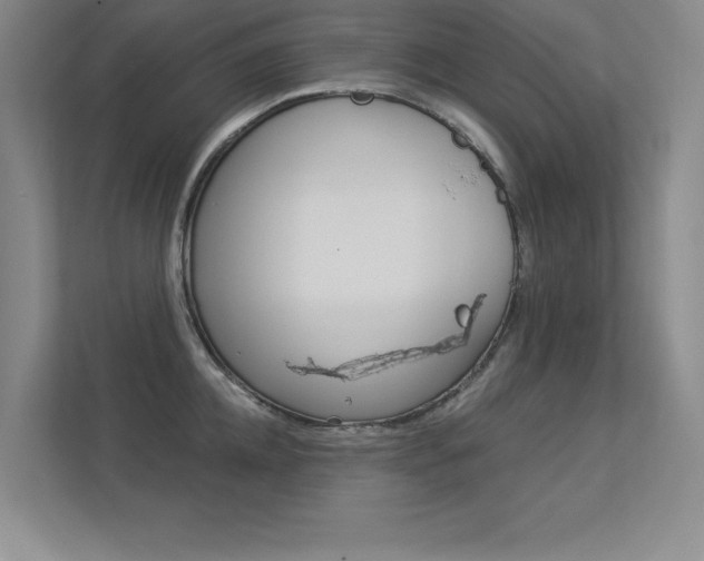 X0000113360952200909151004