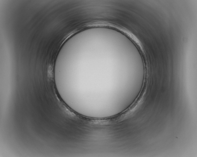X0000113360953200909151004