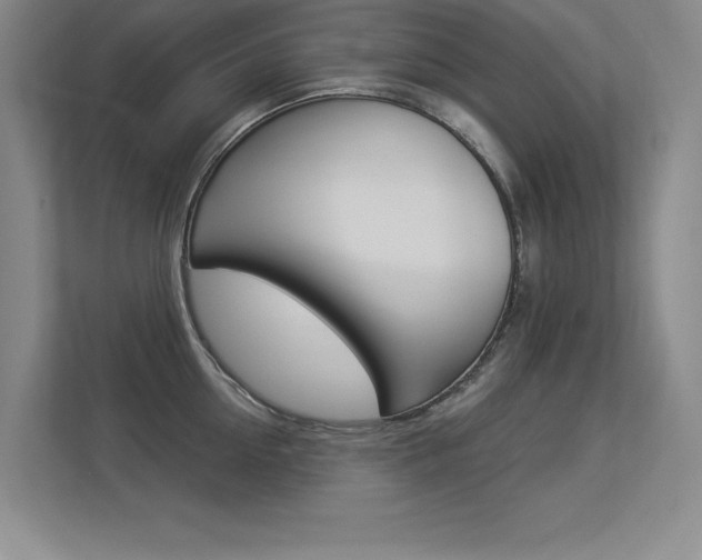 X0000113360954200909151004