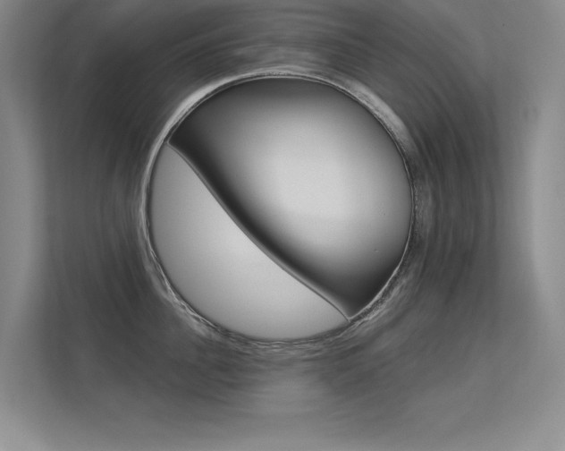 X0000113360956200909151004