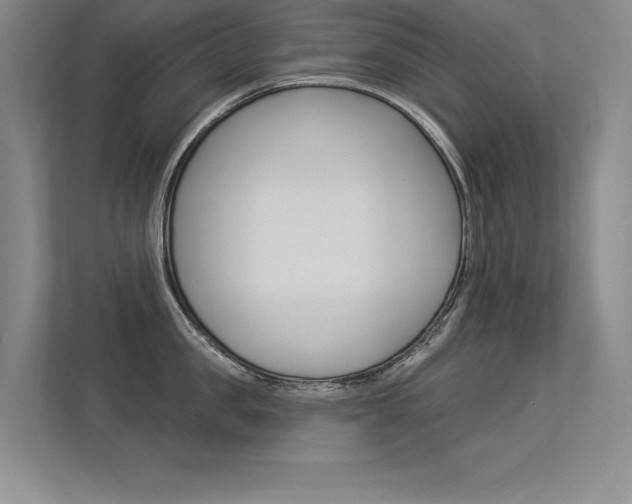 X0000113360957200909151004