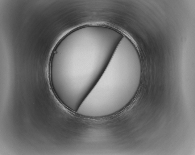 X0000113360959200909151004