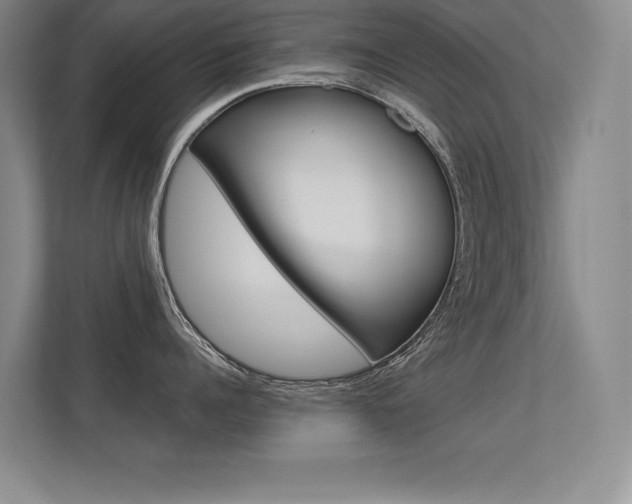 X0000113360960200909151004