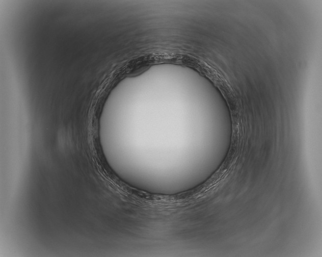 X0000113360961200909151003