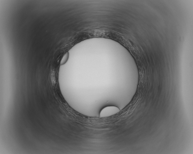 X0000113360962200909151003