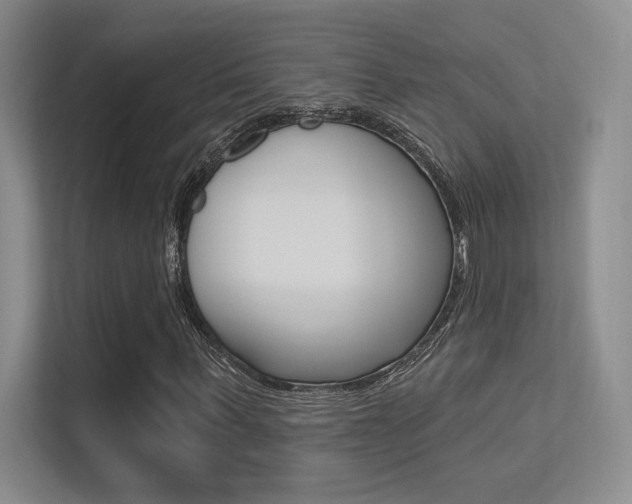 X0000113360963200909151003