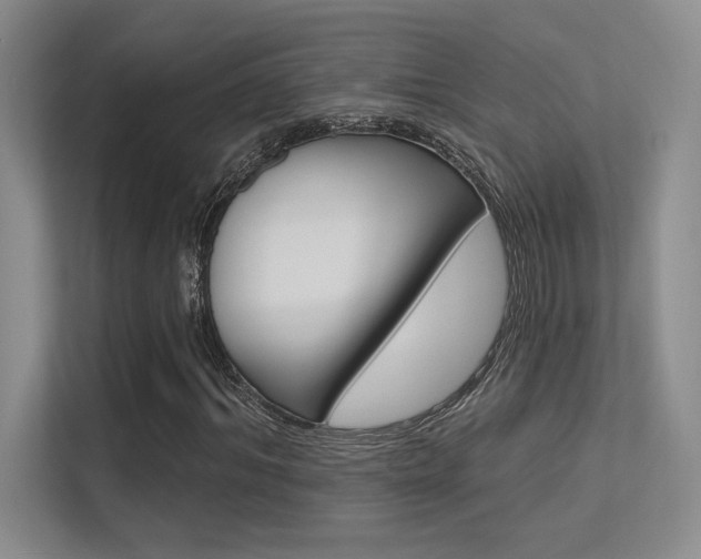 X0000113360964200909151003