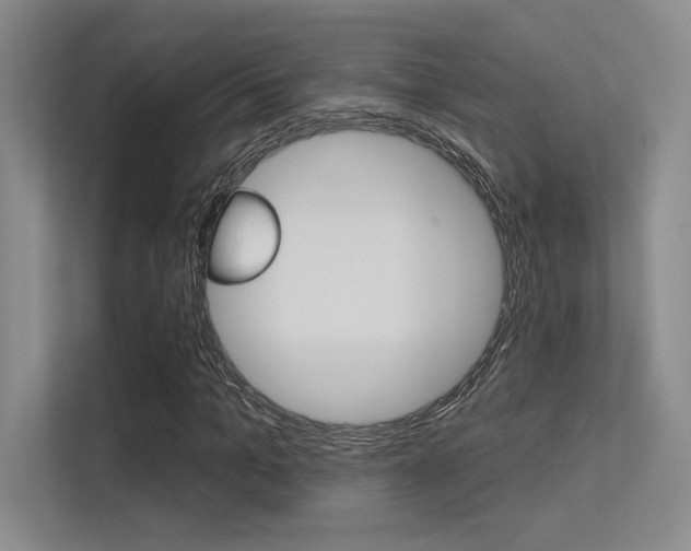 X0000113360965200909151003