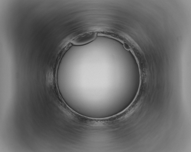 X0000113360969200909151003