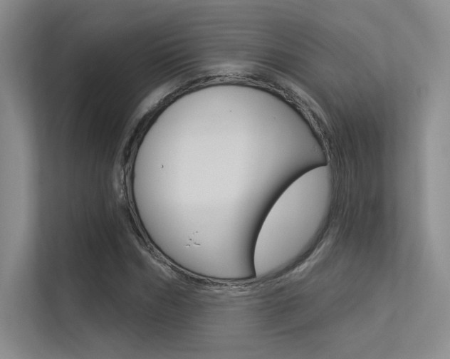 X0000113360970200909151003