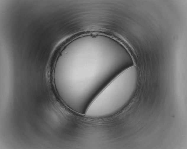 X0000113360971200909151003