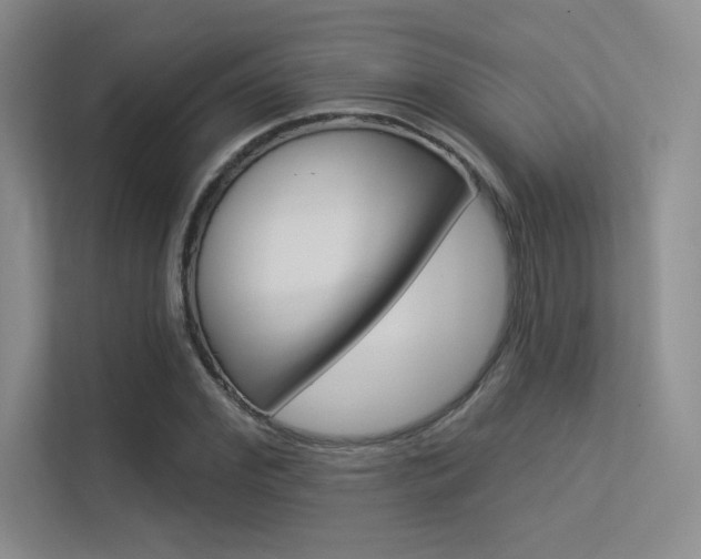 X0000113360972200909151003