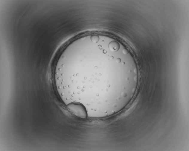 X0000113360974200909151003