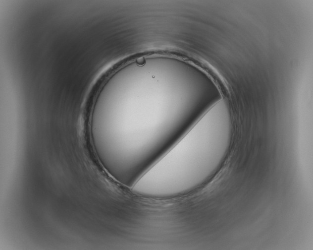 X0000113360975200909151003