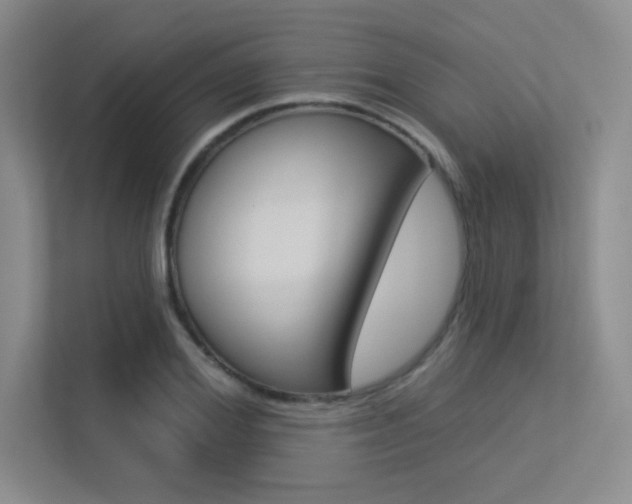 X0000113360980200909151003