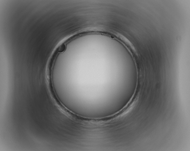 X0000113360981200909151003