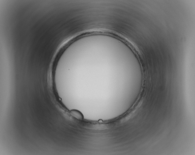 X0000113360982200909151003