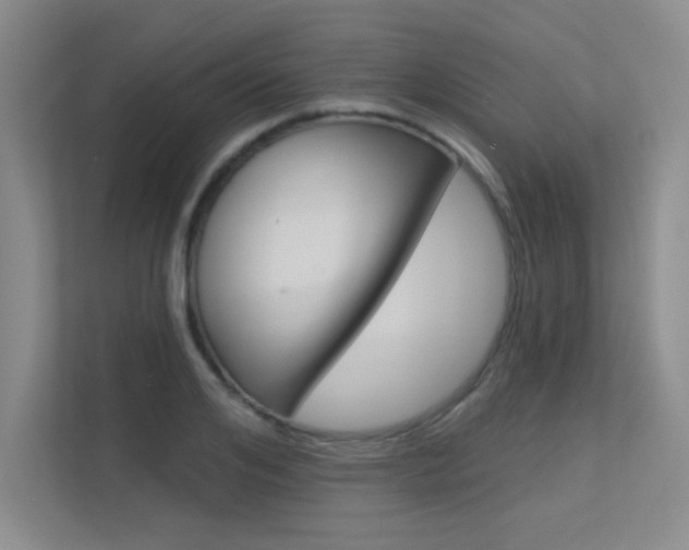 X0000113360984200909151003
