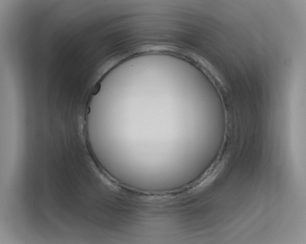 X0000113360985200909151003