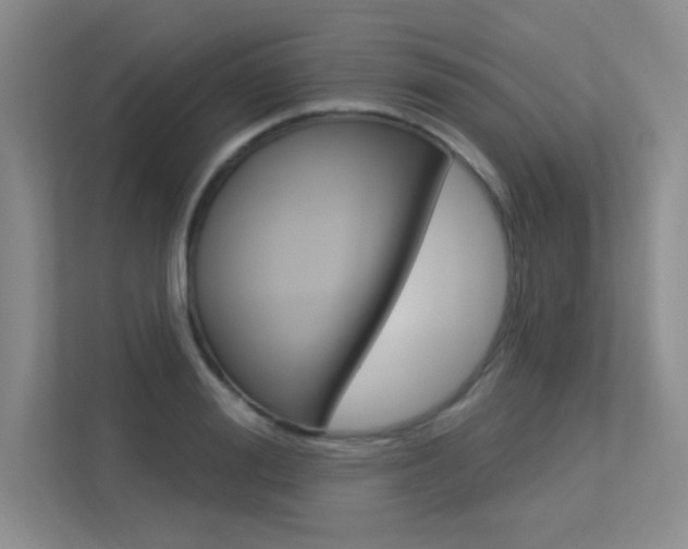 X0000113360988200909151003