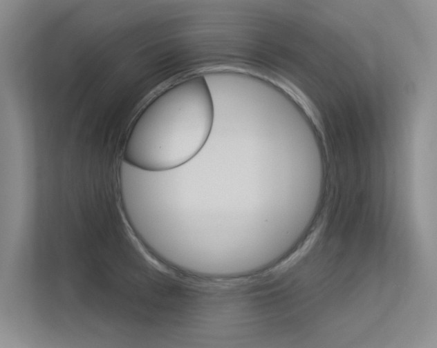 X0000113360993200909151003