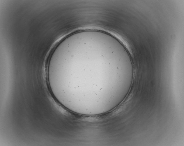 X0000113360998200909151003